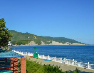 Детский оздоровительный лагерь "Panda Camp" / "Панда кэмп"