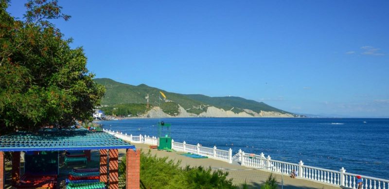 Детский оздоровительный лагерь "Panda Camp" / "Панда кэмп"