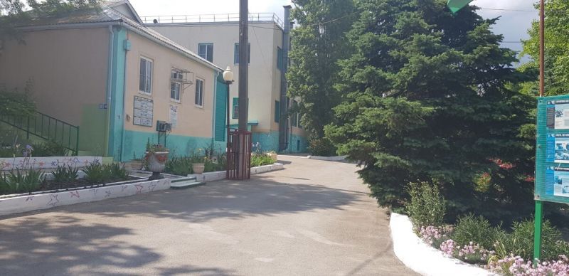 Детский оздоровительный лагерь "Panda Camp" / "Панда кэмп"