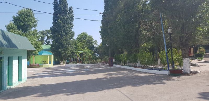 Детский оздоровительный лагерь "Panda Camp" / "Панда кэмп"