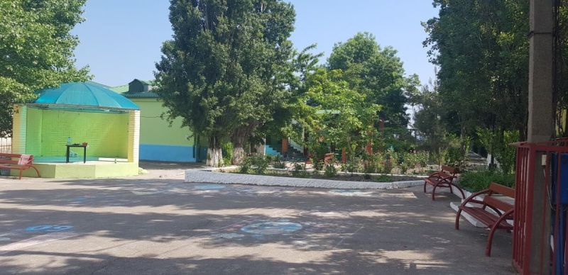 Детский оздоровительный лагерь "Panda Camp" / "Панда кэмп"